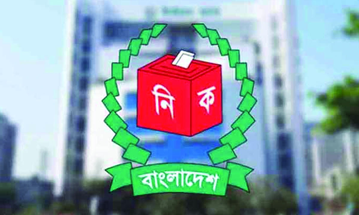 ত্রয়োদশ জাতীয় সংসদ নির্বাচন। ছবি : সংগৃহীত