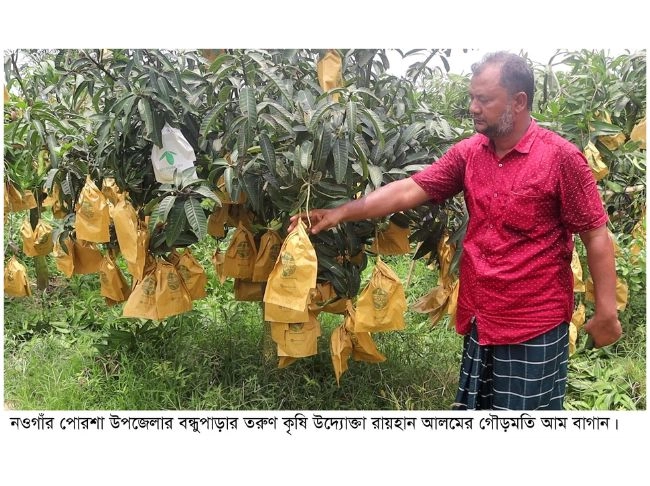 সোনালি মৌসুমে দুশ্চিন্তার মেঘ