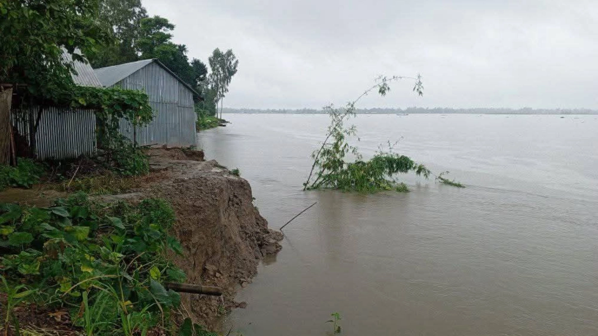 তিস্তার পানি কমছে  বাড়ছে নদীভাঙন