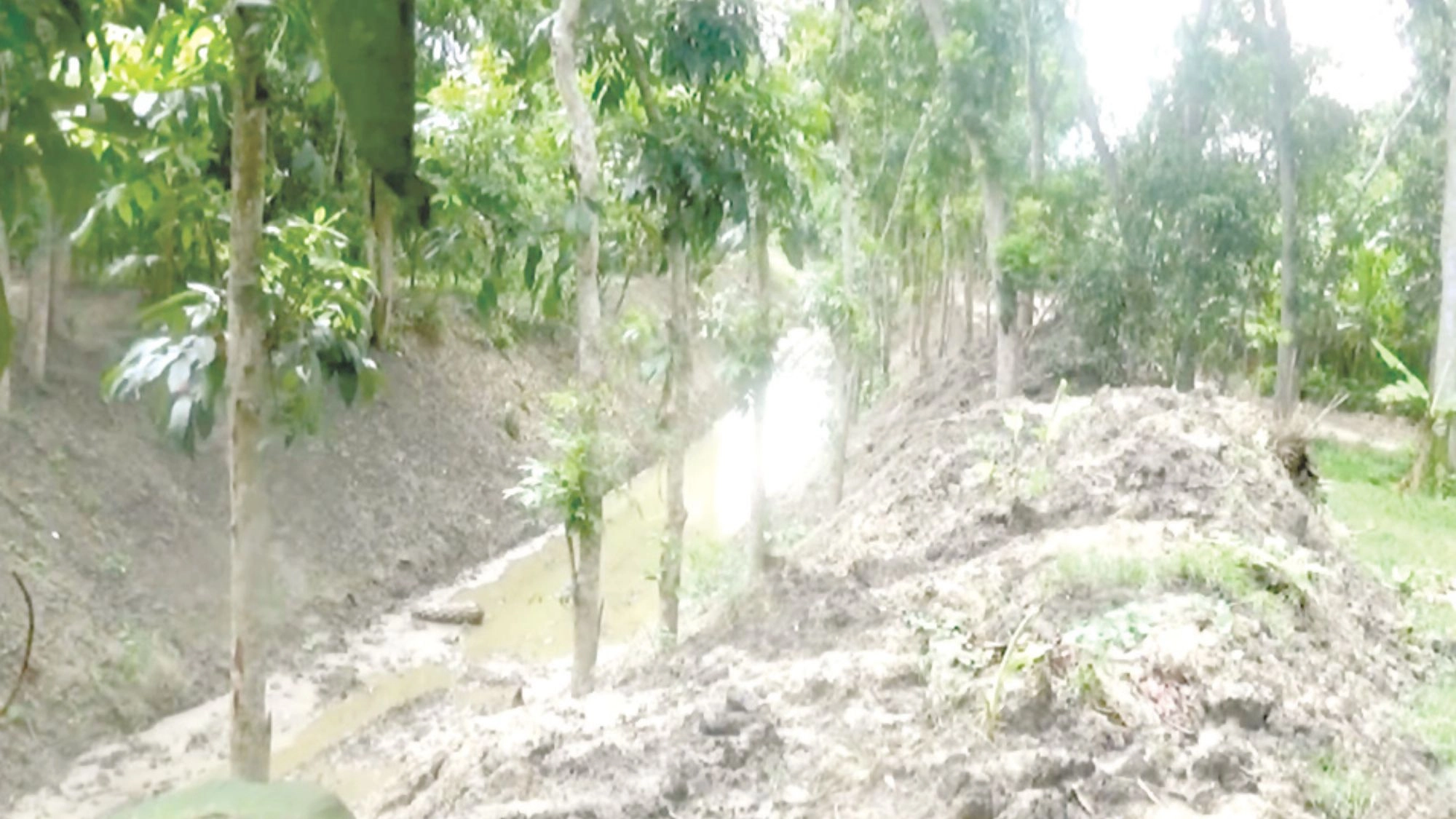 খালের মাটি নিয়ে বিএনপির দুই নেতার দ্বন্দ্ব, চালককে মারধর