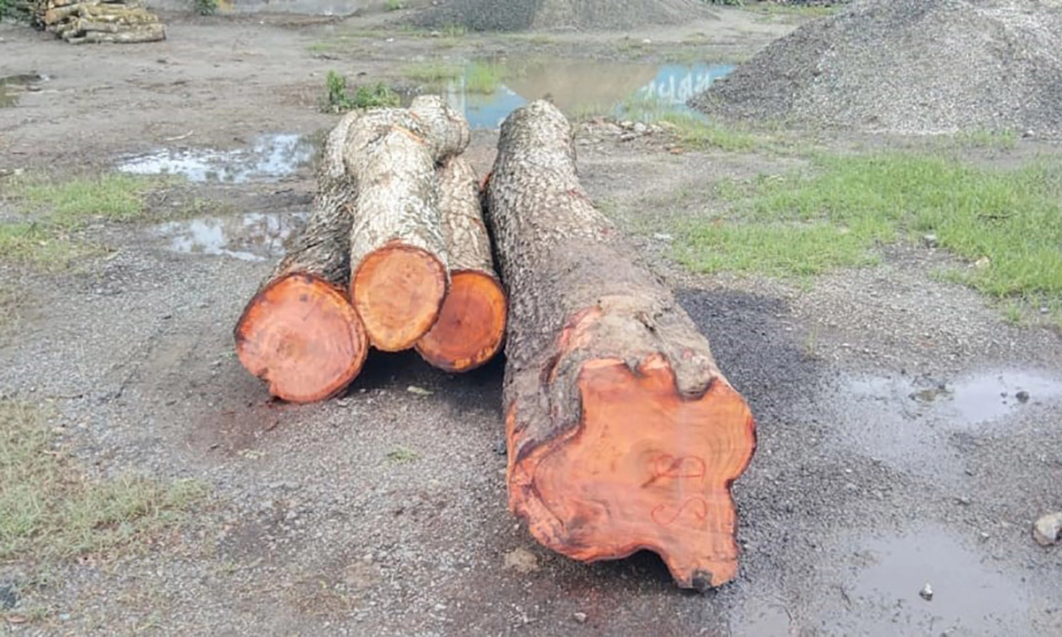 ছবি- রূপালী বাংলাদেশ