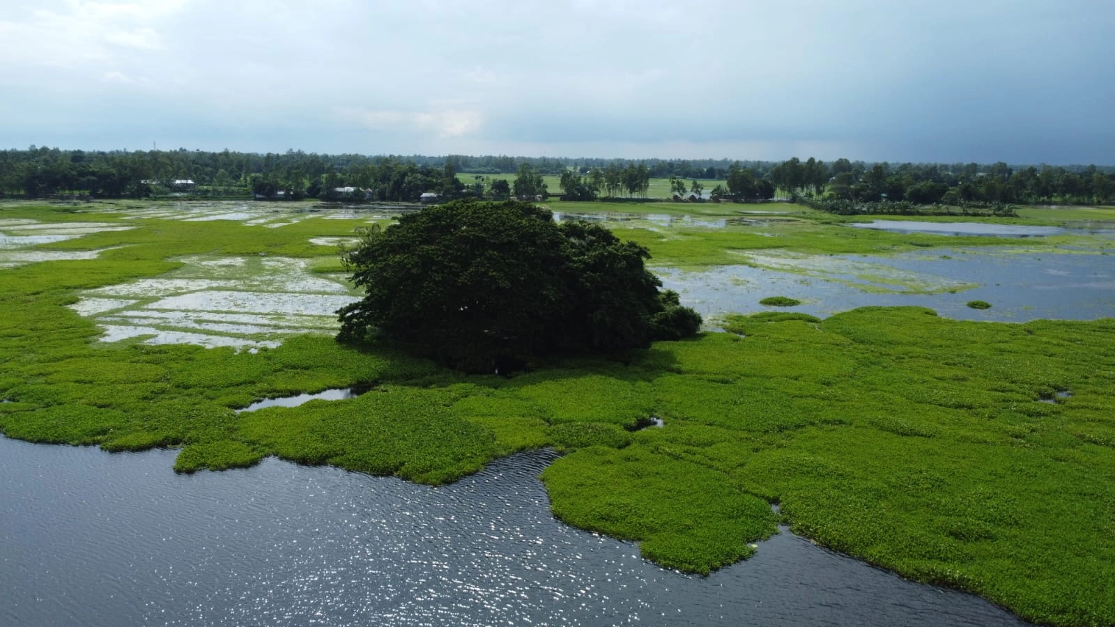 কল্পকাহিনির আড়ালে  মাদকের স্বর্গরাজ্য