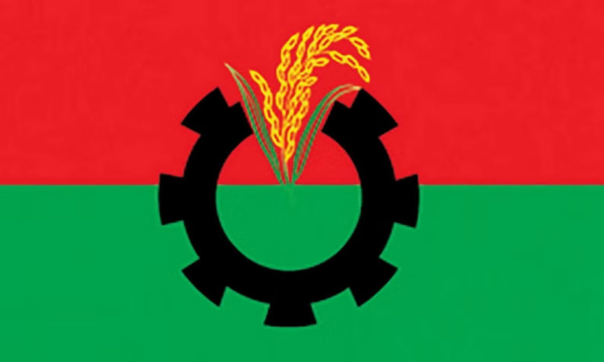 বিএনপির লোগো। ছবি- সংগৃহীত