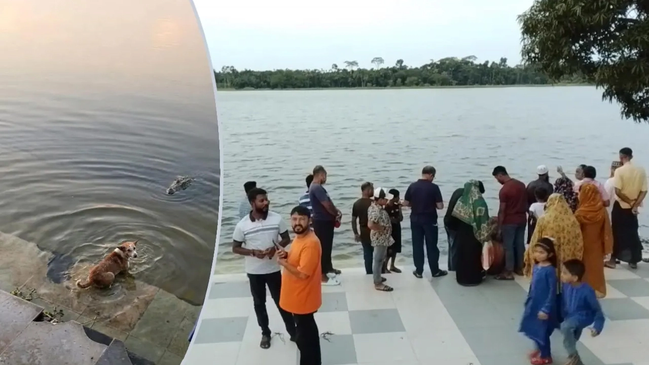 ছবি : সংগৃহীত