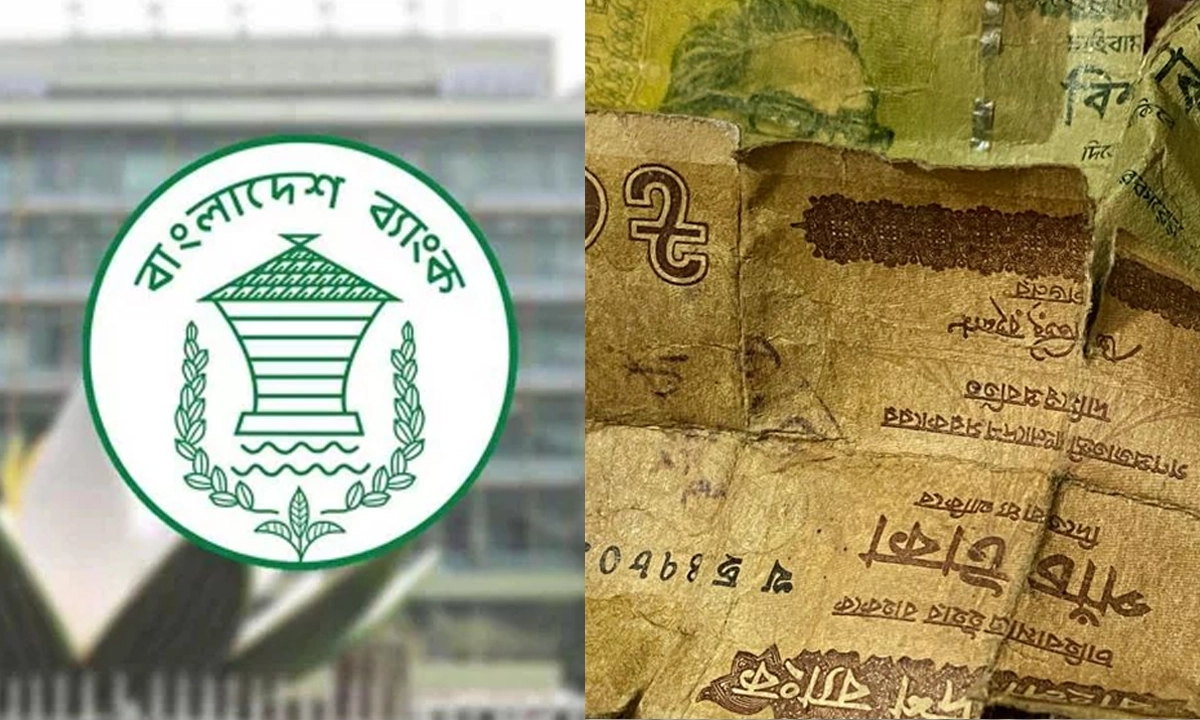ছবি- সংগৃহীত