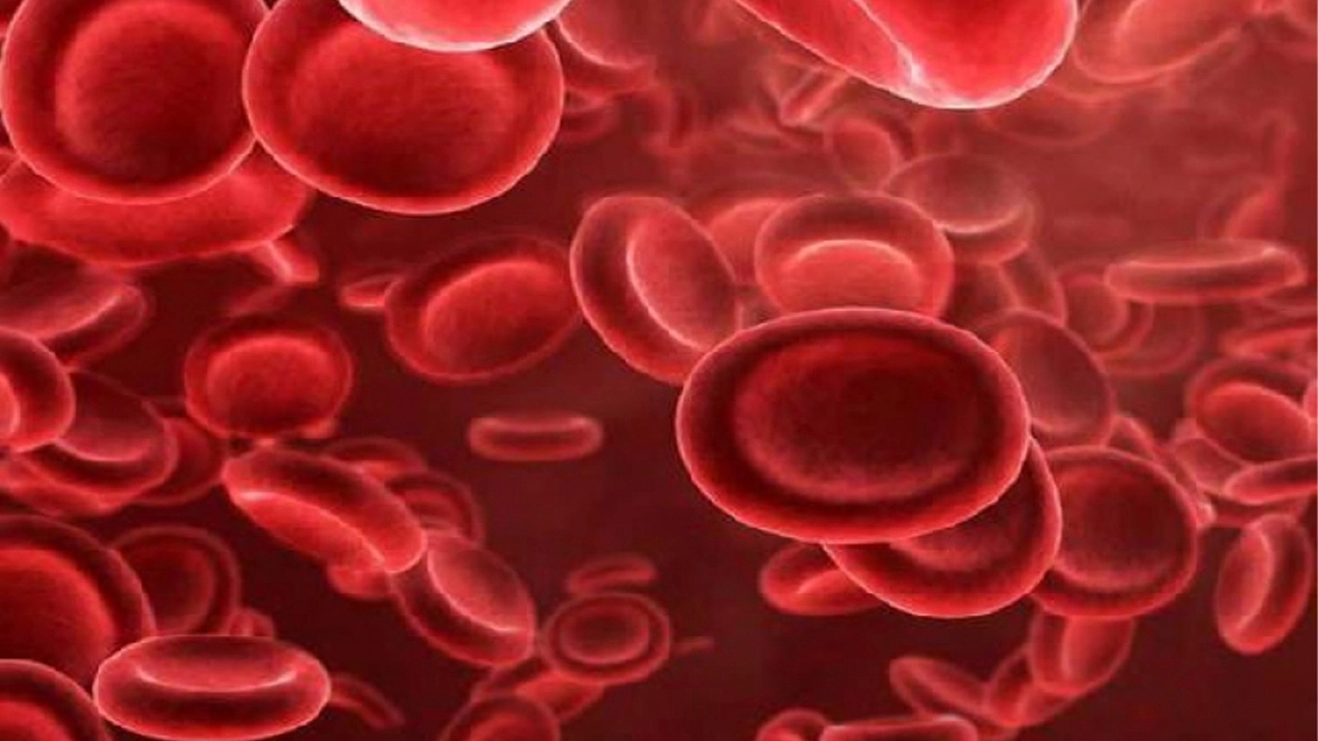 প্লাটিলেটের চিত্র। ছবি- সংগৃহীত