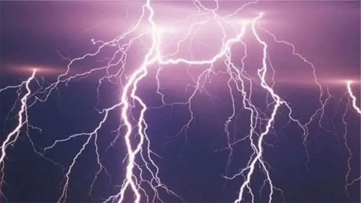 ছবি : সংগৃহীত
