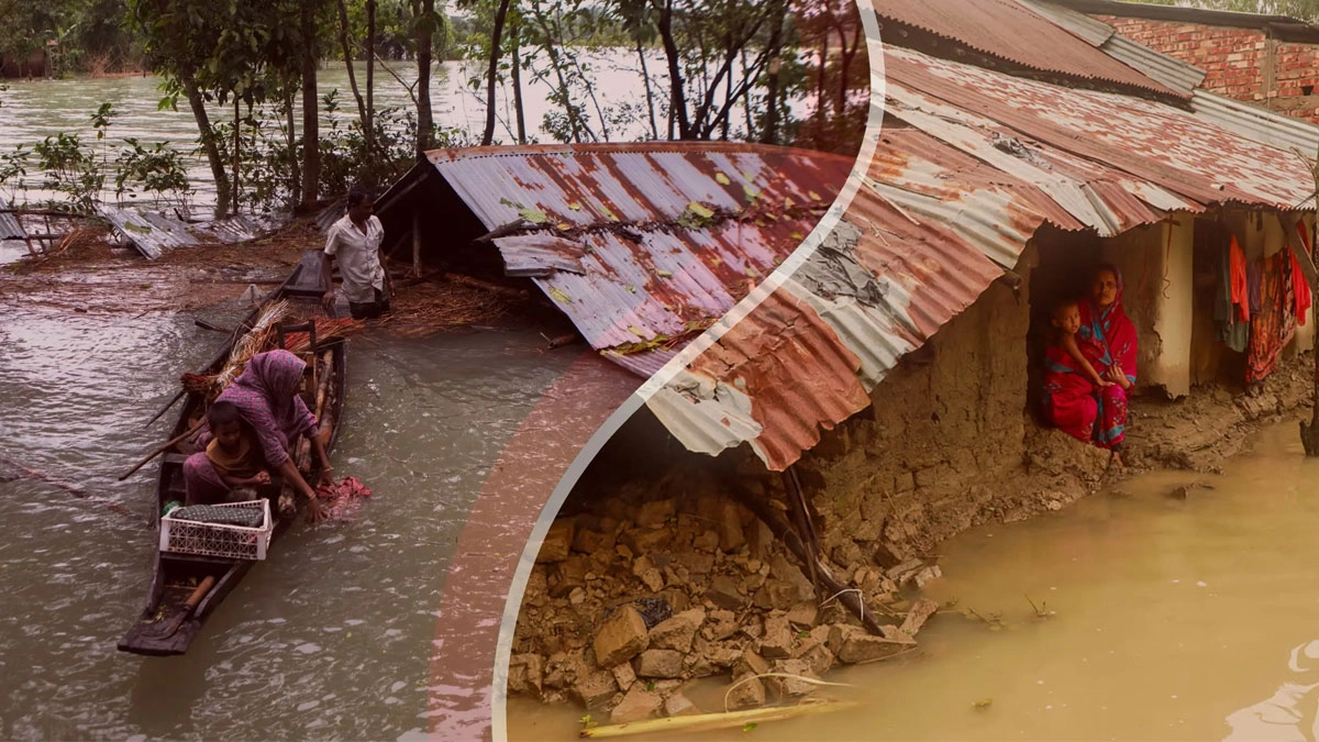 ছবি : সংগৃহীত