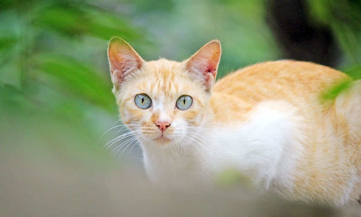 ছবি : সংগৃহীত