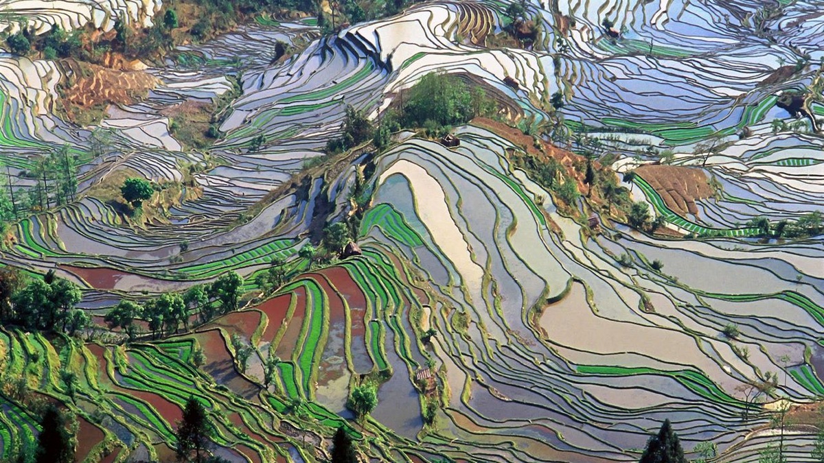 ছবি- সংগৃহীত