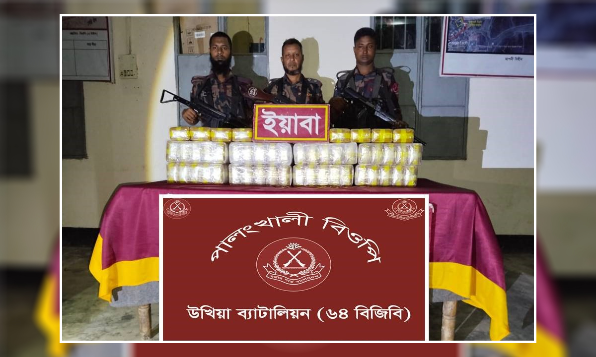 উখিয়া সীমান্তে বিজিবির অভিযান, প্রায় ৫ লাখ পিস ইয়াবা জব্দ