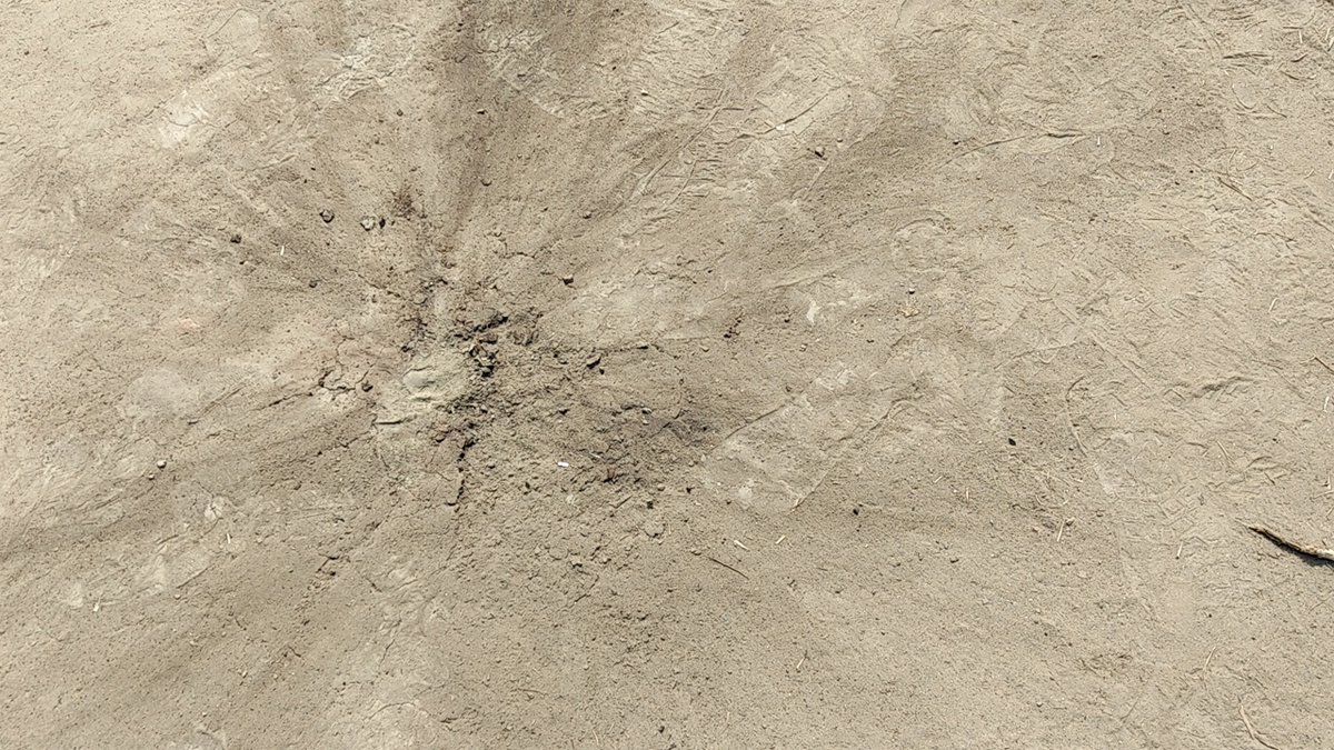 ককটেল বিস্ফোরণ। ছবি : সংগৃহীত