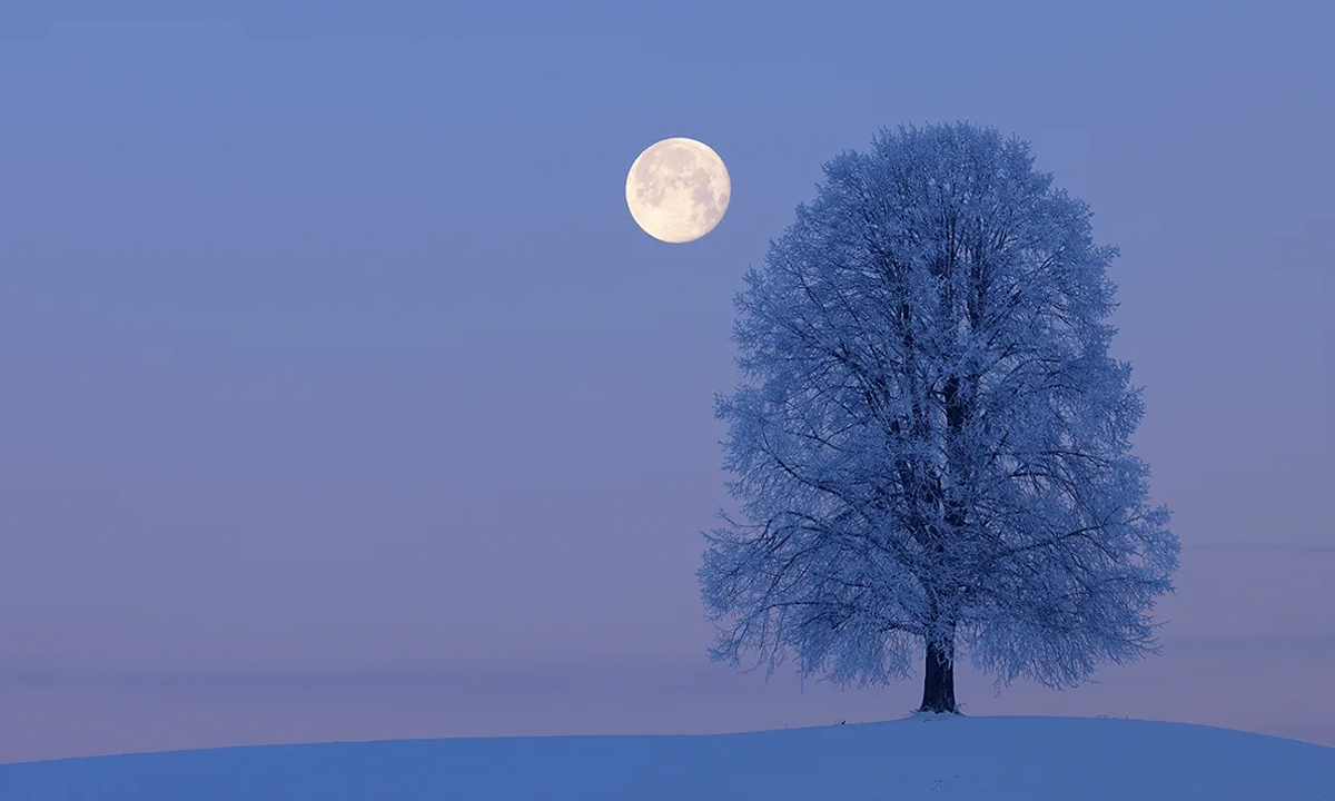 কাল দেখা যাবে বছরের শেষ ‘কোল্ড মুন’। ছবি- সংগৃহীত