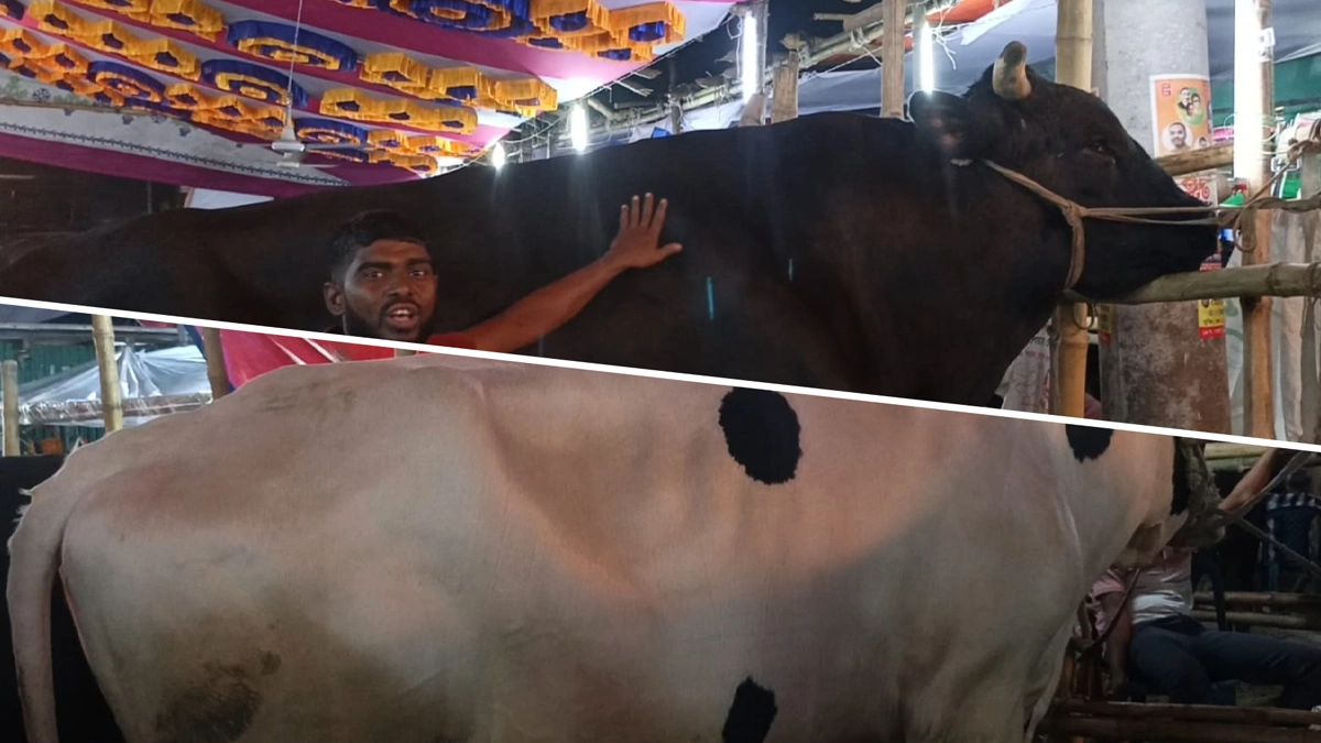ছবি- রূপালী বাংলাদেশ