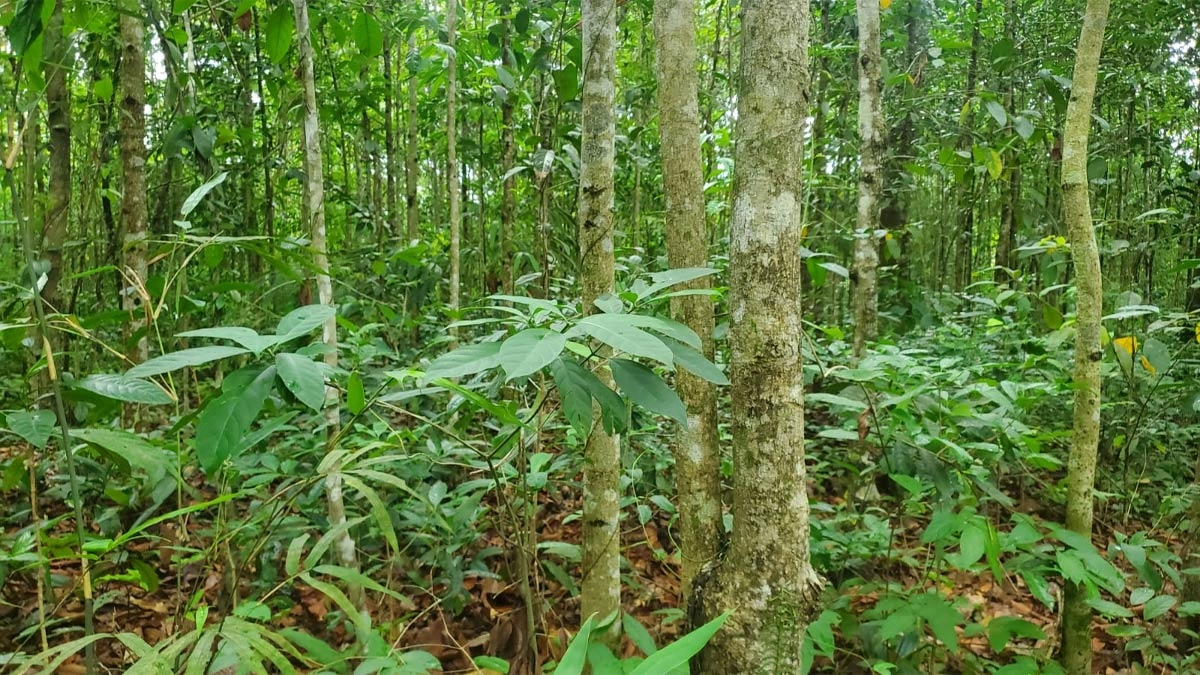 ছবি- রূপালী বাংলাদেশ