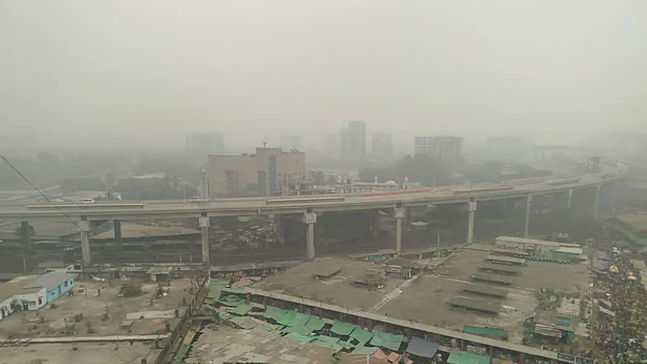 কুয়াশা মোড়ানো সকাল। ছবি : সংগৃহীত