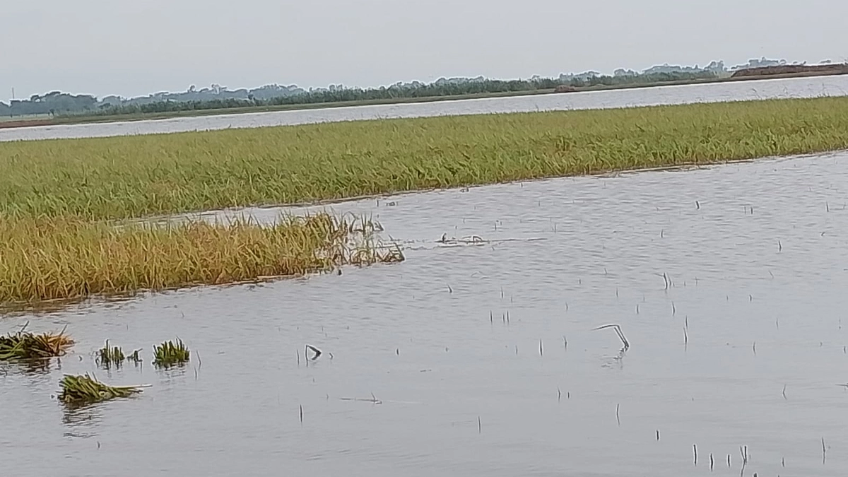 ছবি- রূপালী বাংলাদেশ