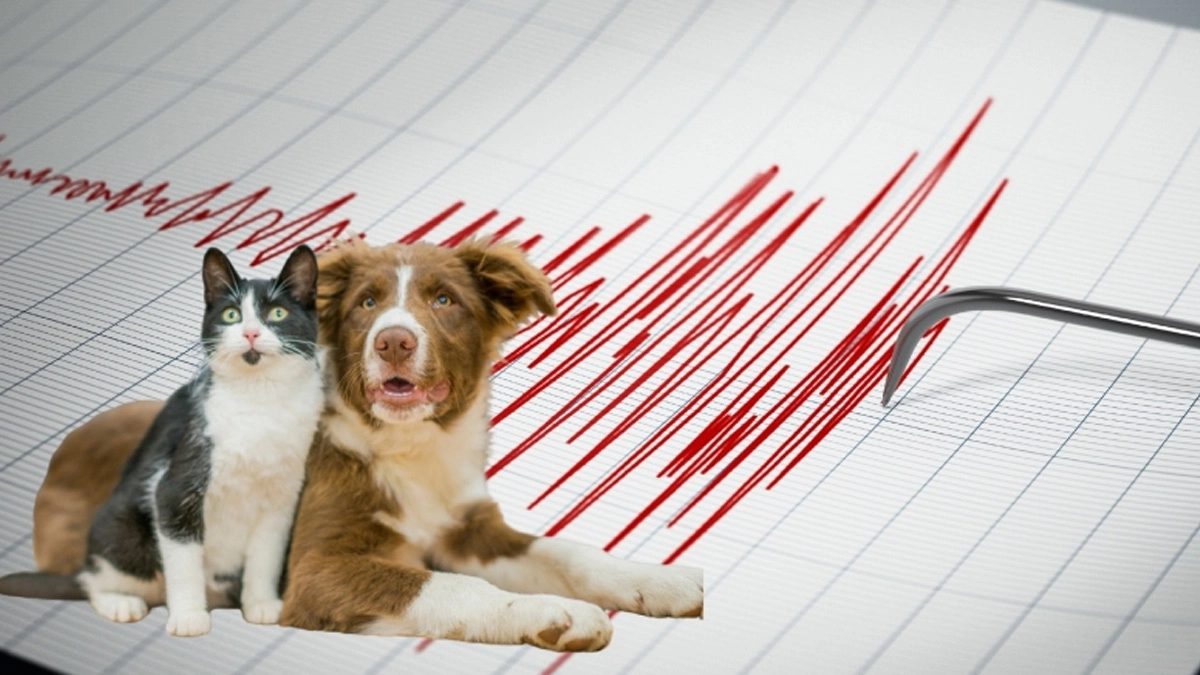 প্রতীকী ছবি। সংগৃহীত