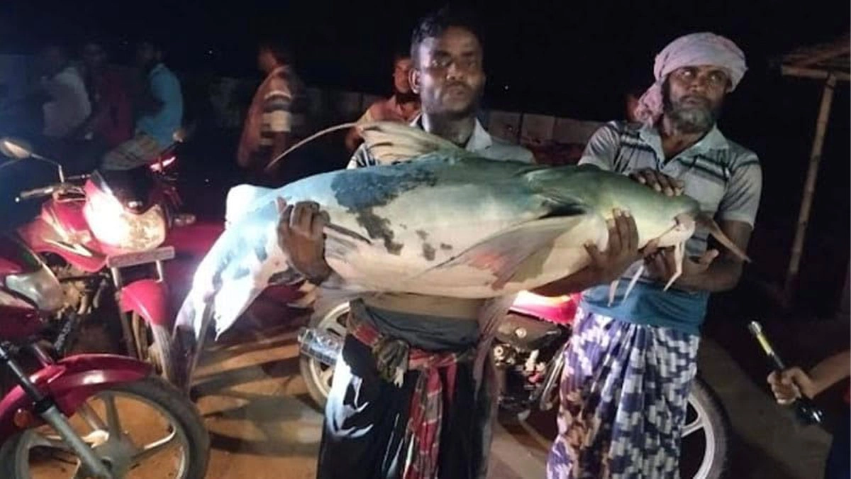 ছবি : সংগৃহীত