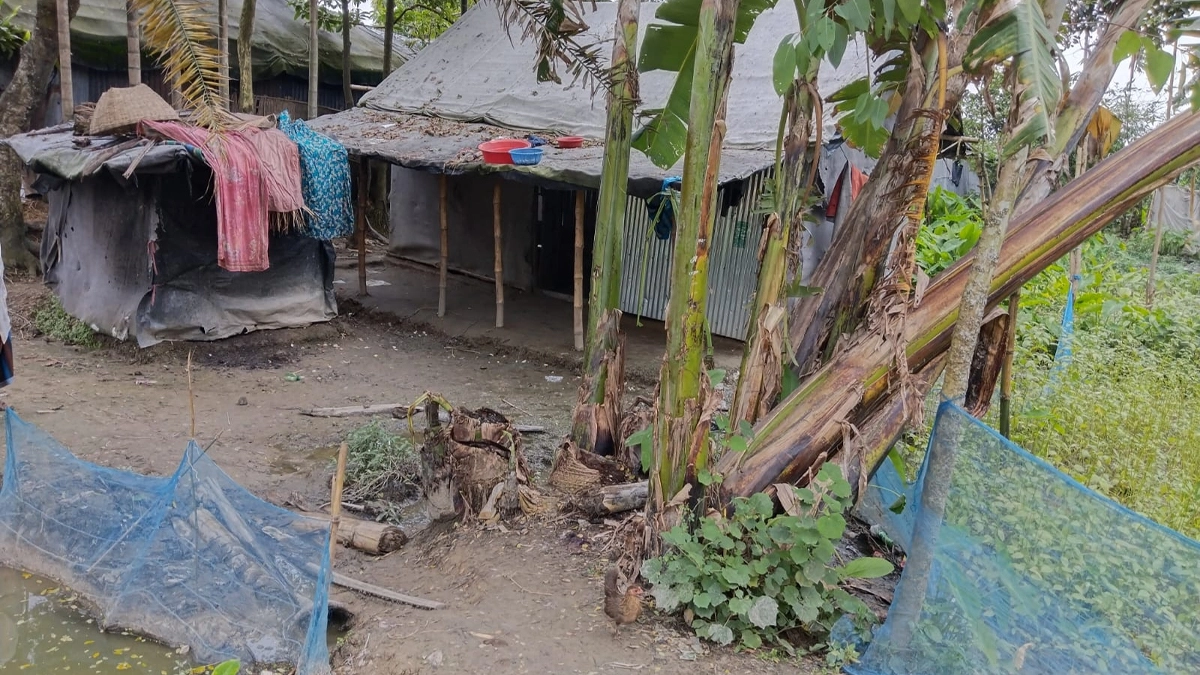 ছবি- রূপালী বাংলাদেশ