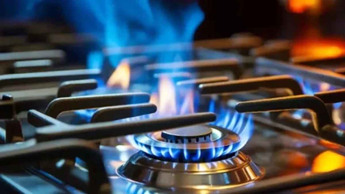 ছবি- সংগৃহীত