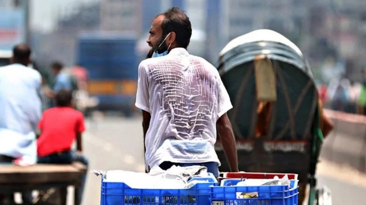 ছবি : সংগৃহীত