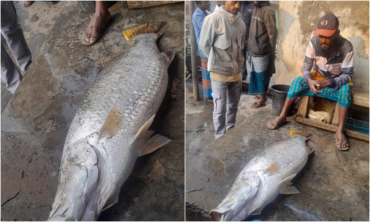 ছবি : রূপালী বাংলাদেশ