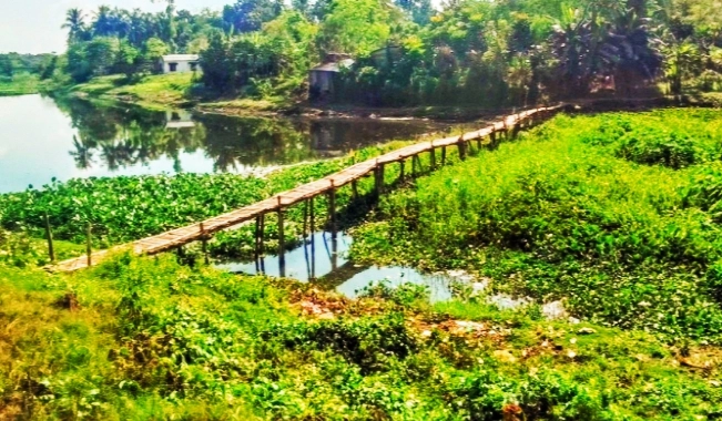 ঝুঁকিপূর্ণ বাঁশের সাঁকো  দিয়ে স্কুলে যাতায়াত 