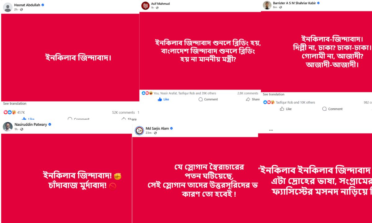 এনসিপির কয়েকজন নেতাসহ বিভিন্ন ব্যক্তির ফেসবুক পোস্ট। ছবি : রূপালী বাংলাদেশ