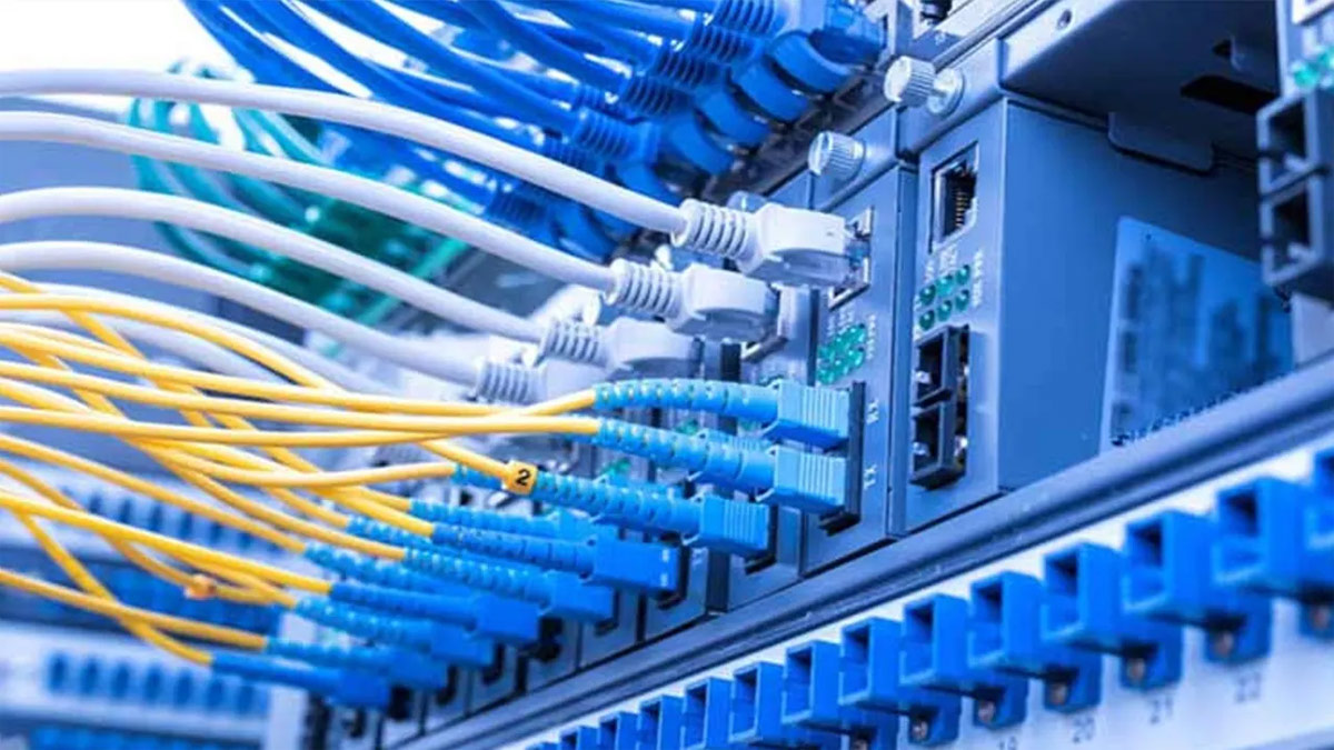 ছবি- সংগৃহীত