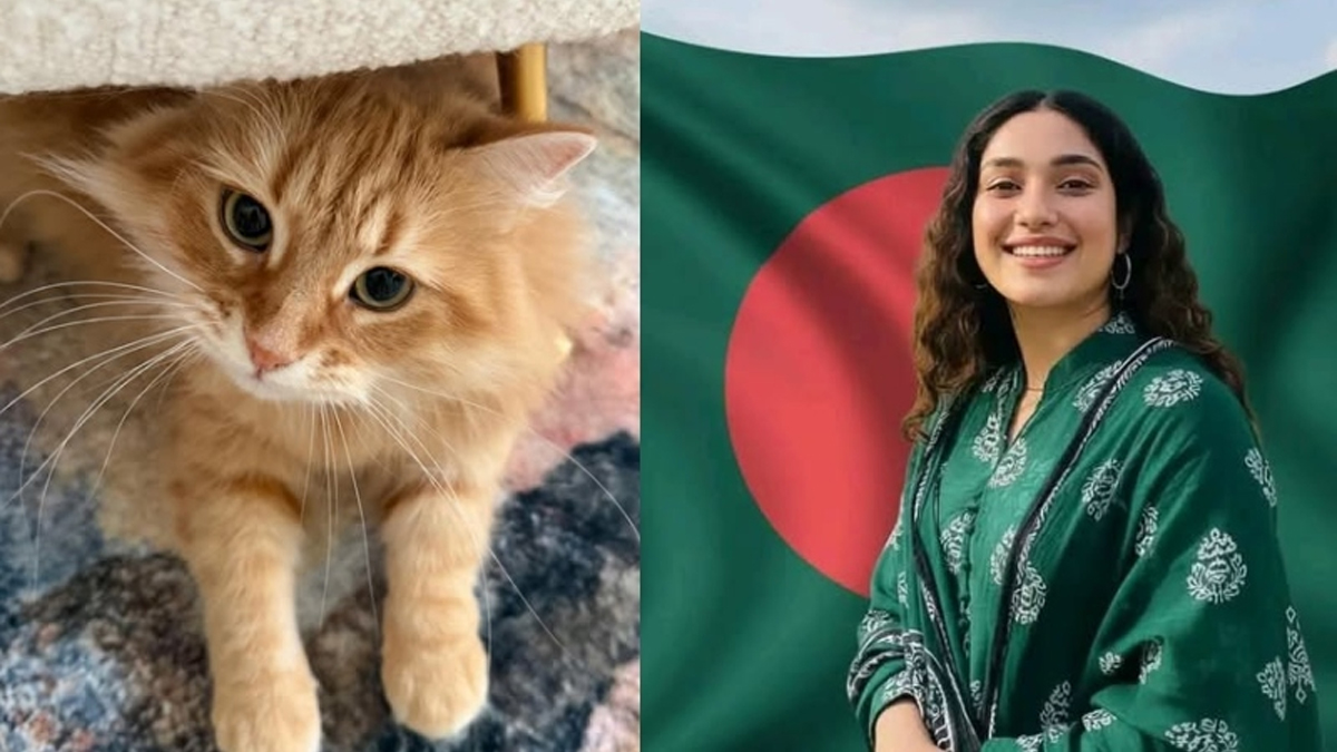 জেবু ও জাইমা রহমান।