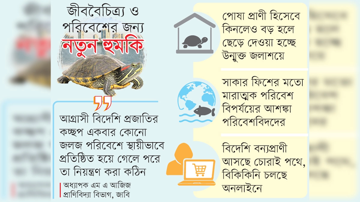 ছবি- রূপালী বাংলাদেশ গ্রাফিক্স