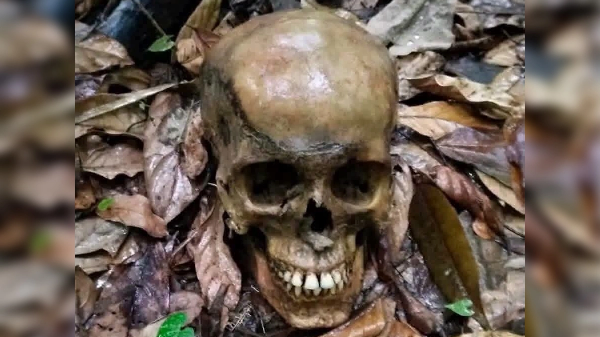 ছবি- রূপালী বাংলাদেশ