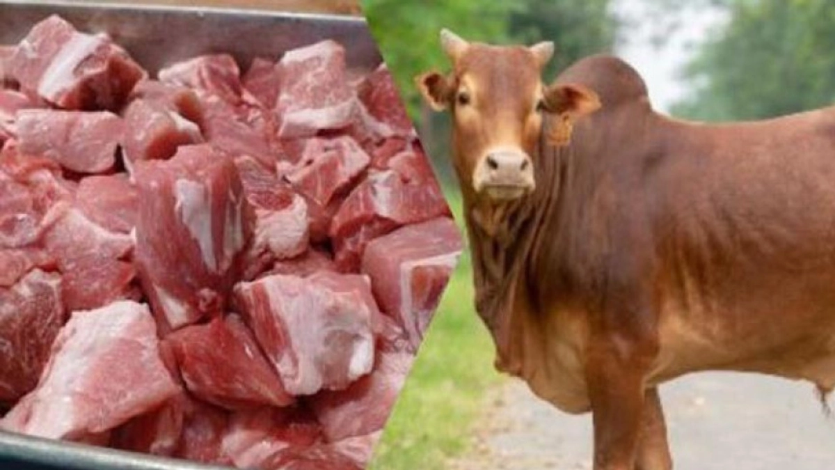 কোরবানির মাংস বন্টন বিধি। ছবি : সংগৃহীত