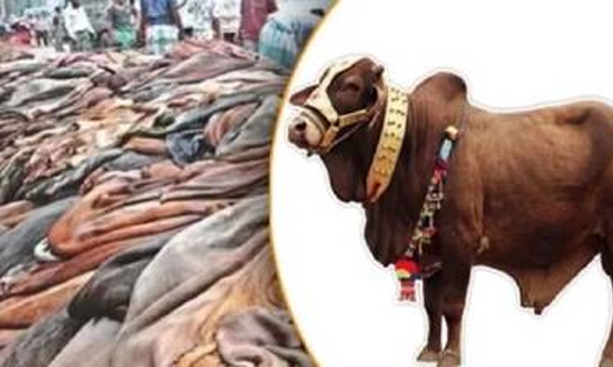 কোরবানির চামড়ার টাকা দরিদ্যের প্রাপ্য ‘আমানত’। ছবি : সংগৃহীত