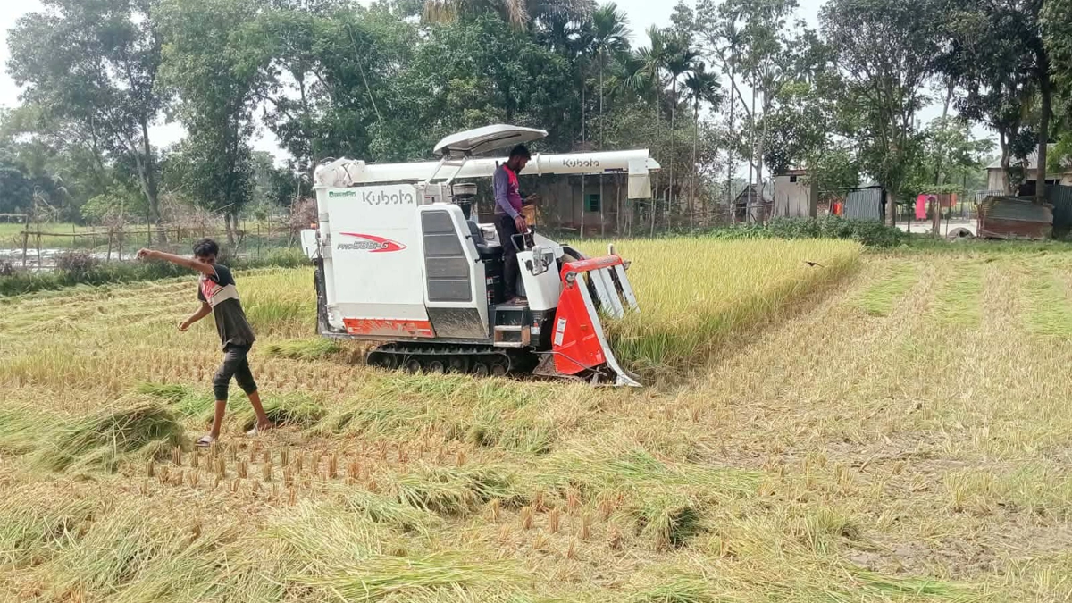 ছবি - রূপালী বাংলাদেশ