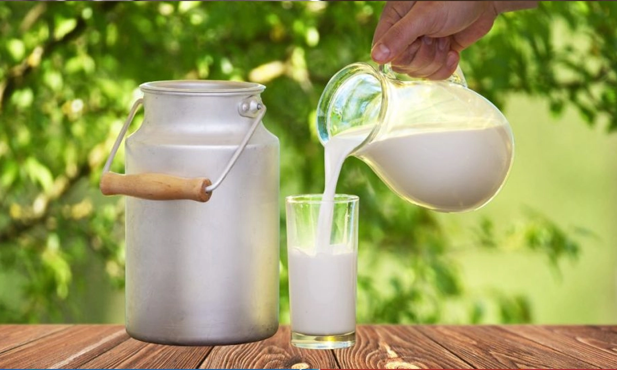 দুধ। ছবি : সংগৃহীত