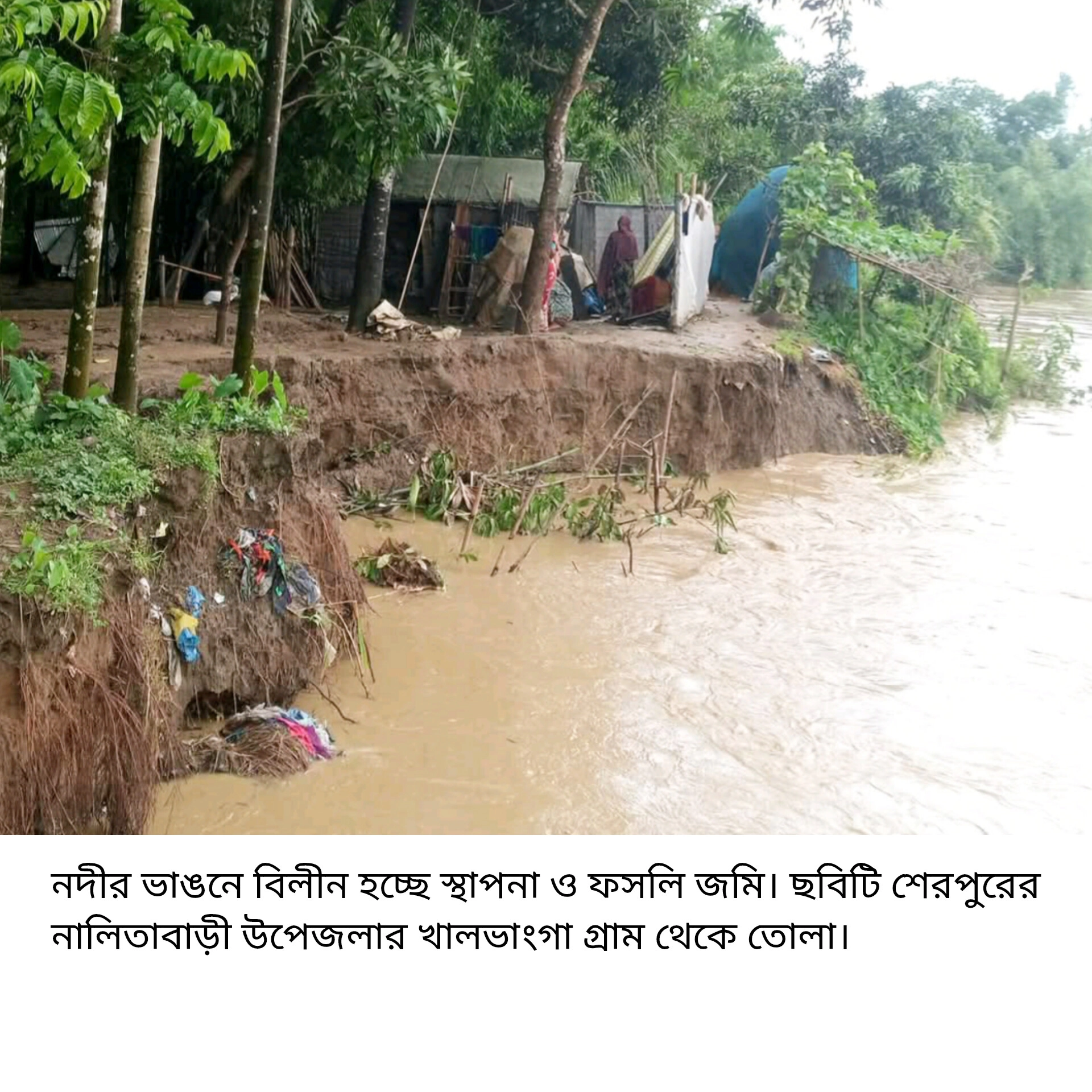ভাঙনে বিপর্যস্ত জনজীবন