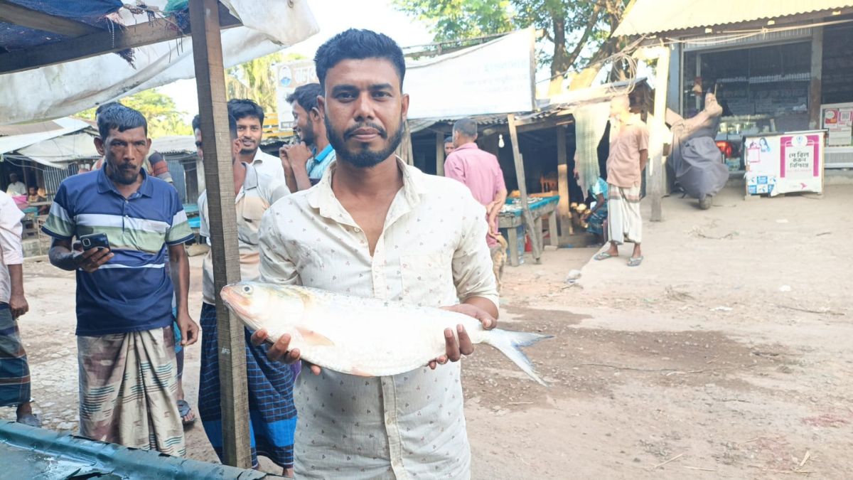 পায়রা নদীতে ধরা পড়া আড়াই কেজি ওজনের ইলিশটি। ছবি- রূপালী বাংলাদেশ