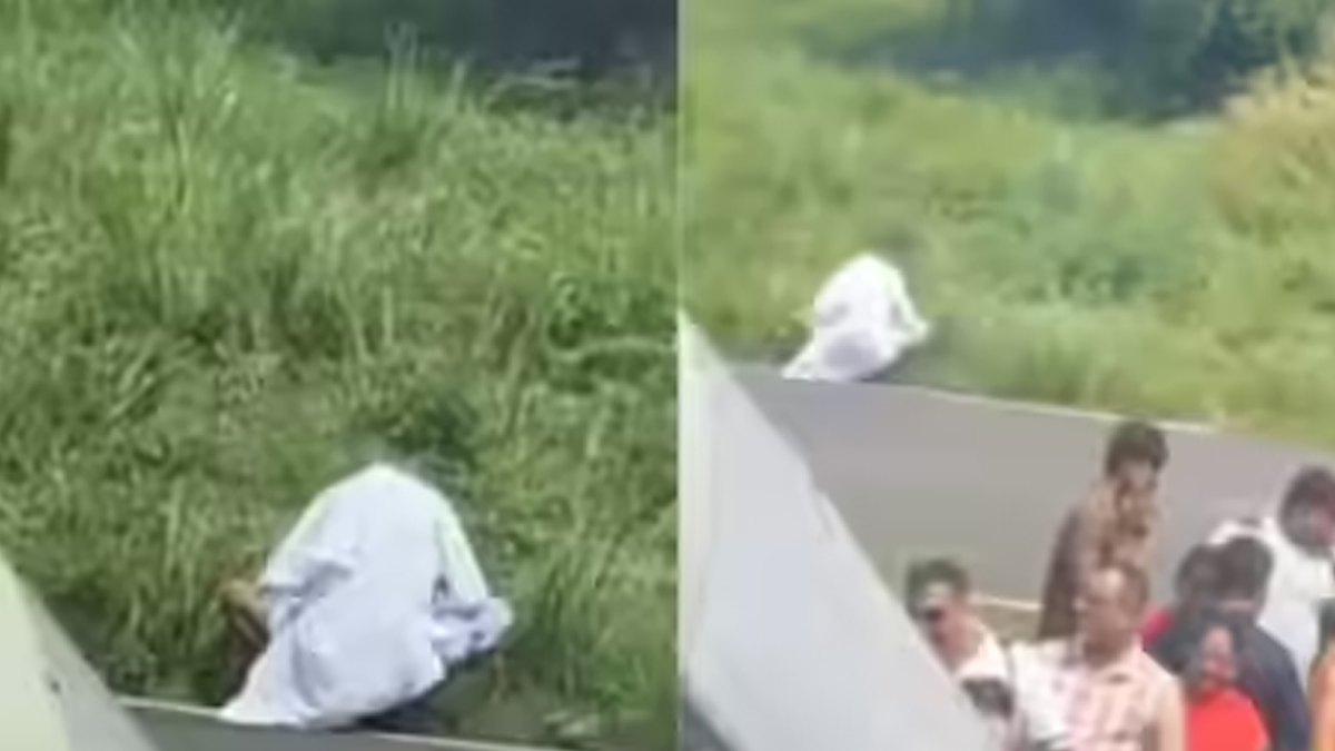 ছবি ভিডিও থেকে নেওয়া