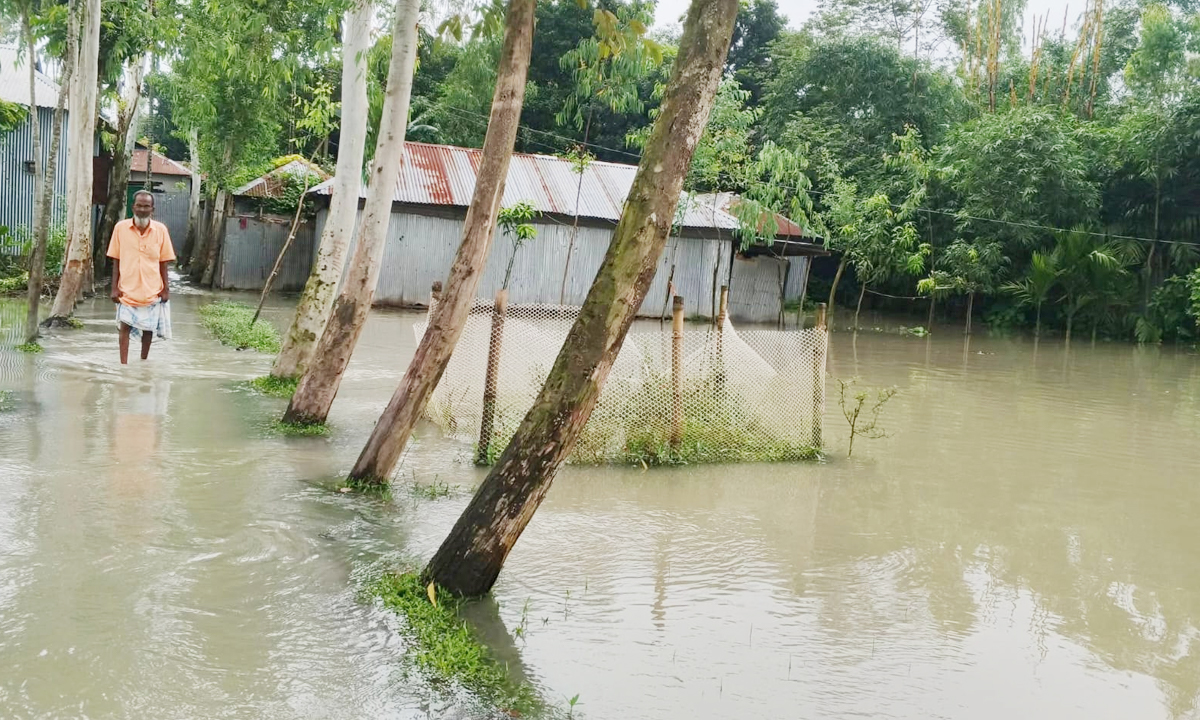 সোমবার (৪ আগস্ট) সকাল ৯টার দিকে তিস্তা ব্যারাজ ডালিয়া পয়েন্টে পানির পরিমাণ ছিল ৫২ দশমিক ৬ মিটার। ছবি- রূপালী বাংলাদেশ