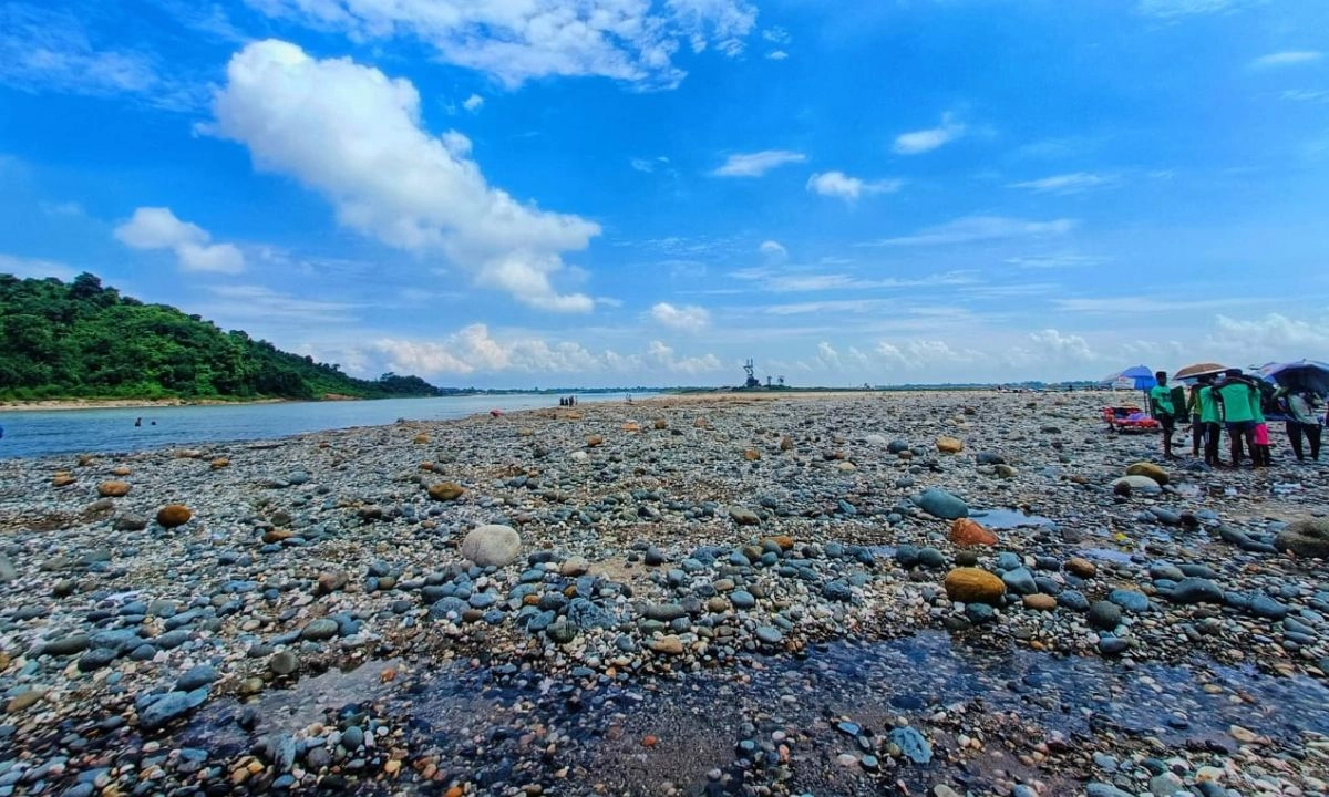 সাদা পাথর লুটকাণ্ডে ধীরে ধীরে বের হচ্ছে থলের বেড়াল