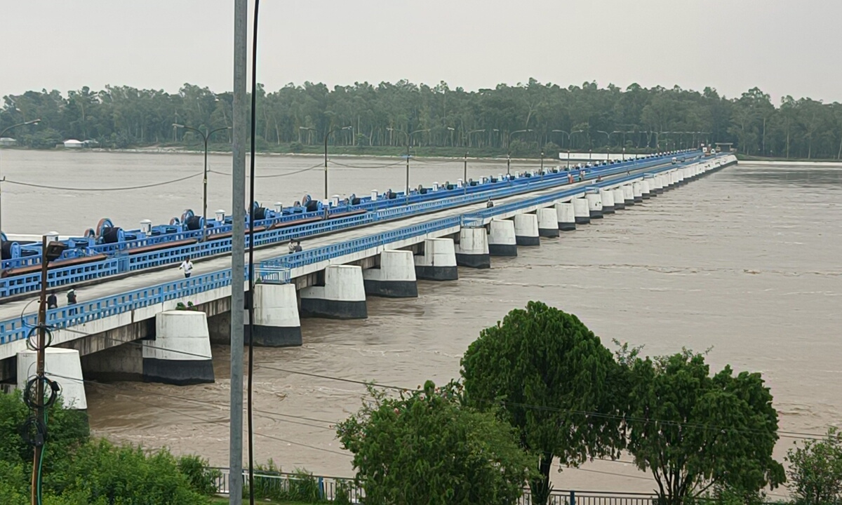 ডালিয়া পানি উন্নয়ন বোর্ড। ছবি- রূপালী বাংলাদেশ