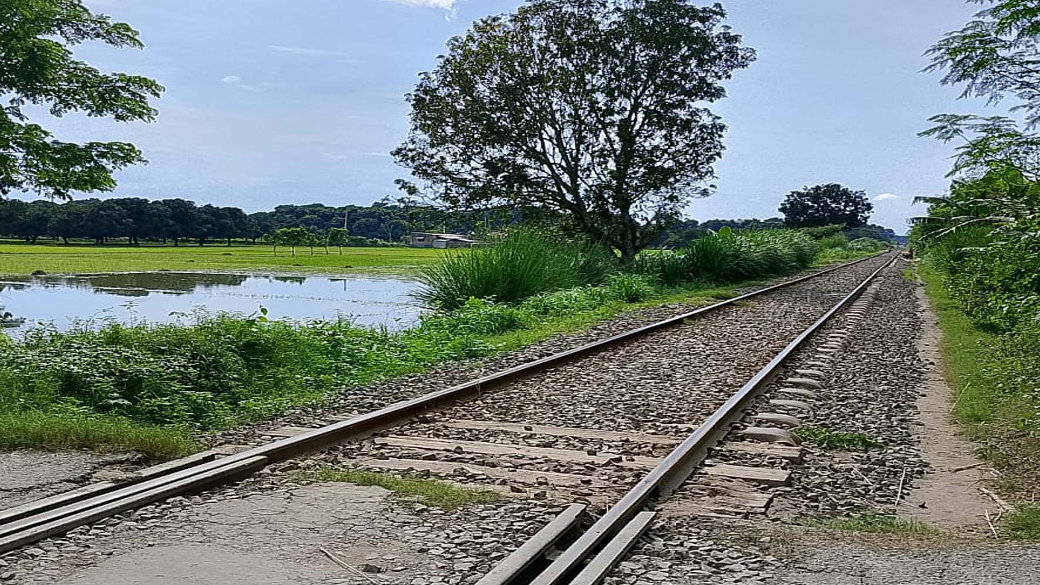 চারঘাট রেললাইন। ছবি- রূপালী বাংলাদেশ।