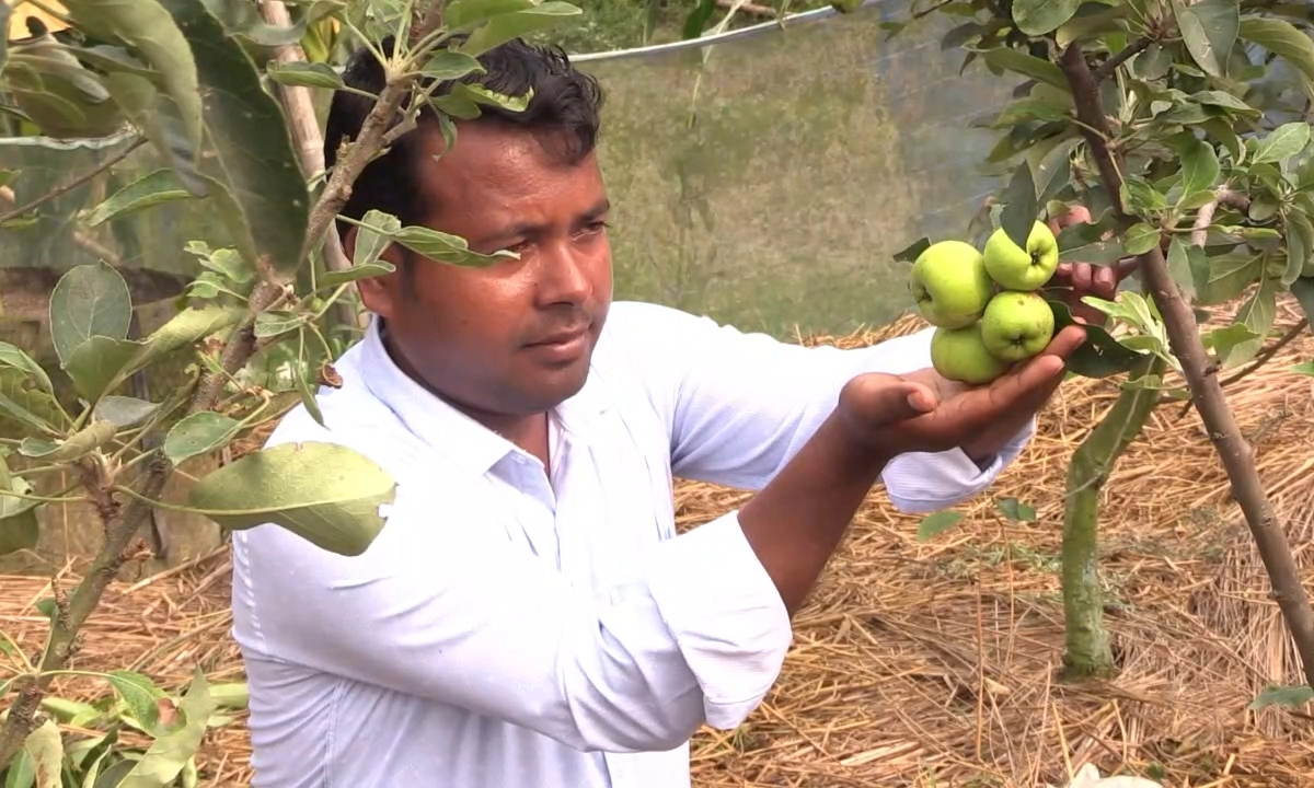 উদ্যোক্তা আব্দুল আলিম। ছবি : রূপালী বাংলাদেশ