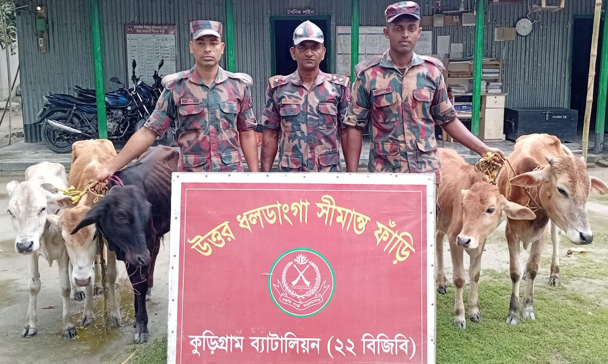 ছবি : রূপালী বাংলাদেশ