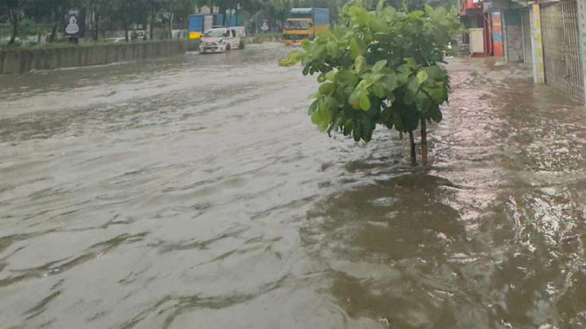 ছবি- সংগৃহীত