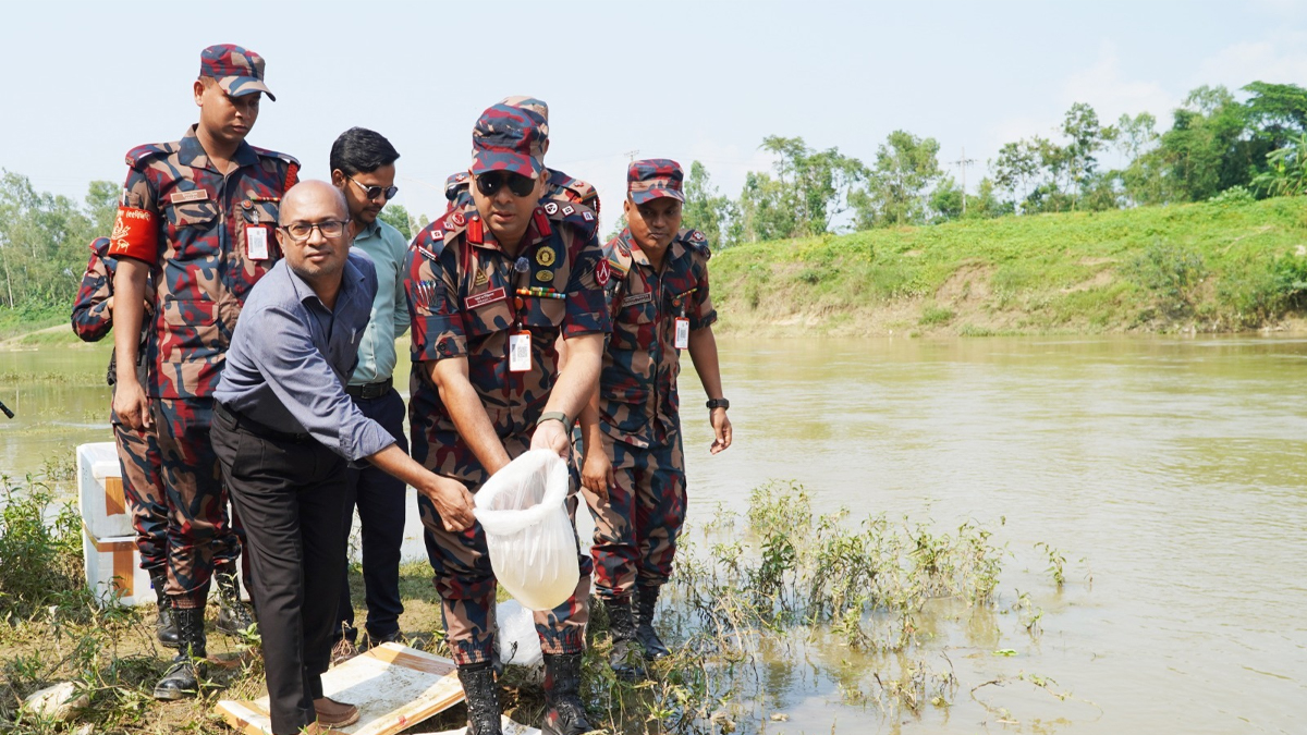 ছবি : সংগৃহীত