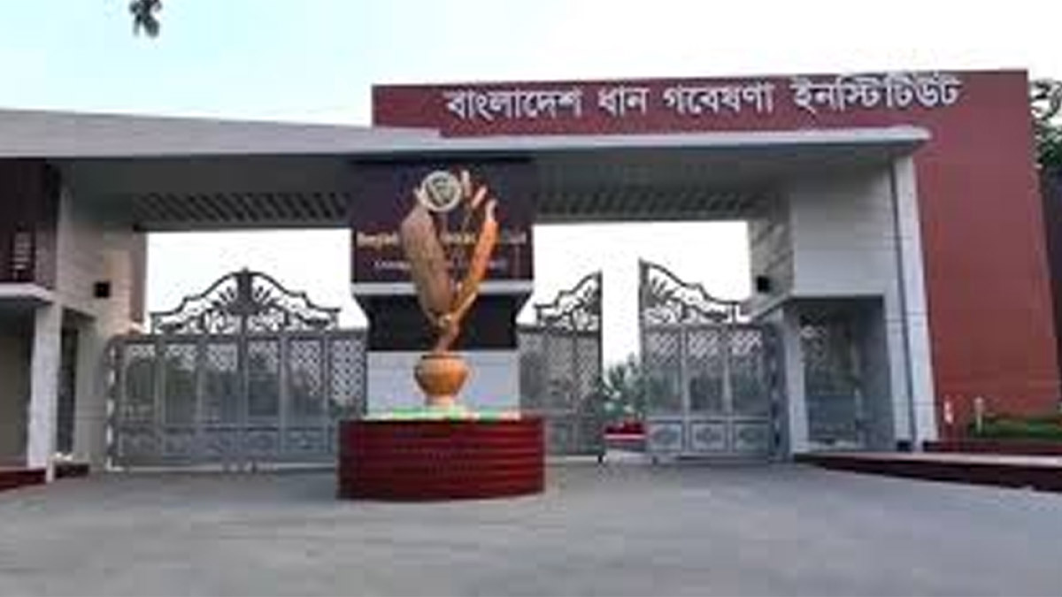 ছবি- সংগৃহীত