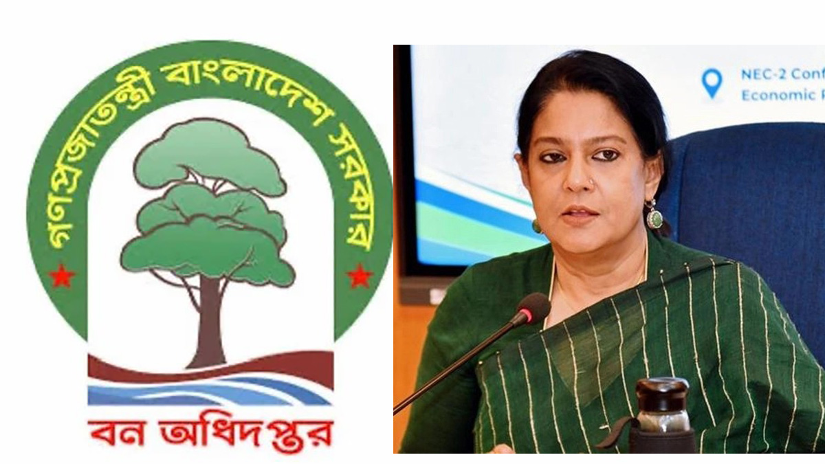 উপদেষ্টা সৈয়দা রিজওয়ানা হাসান। ছবি : সংগৃহীত